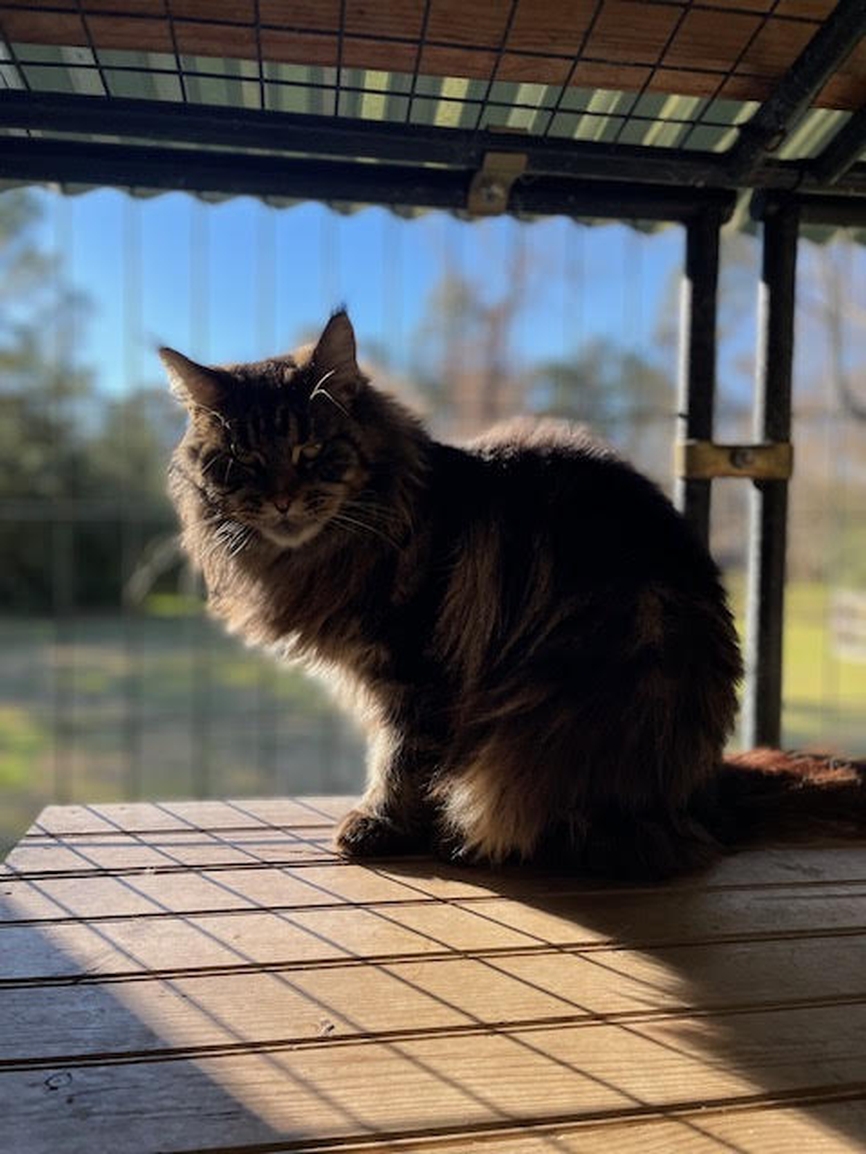 Barbara